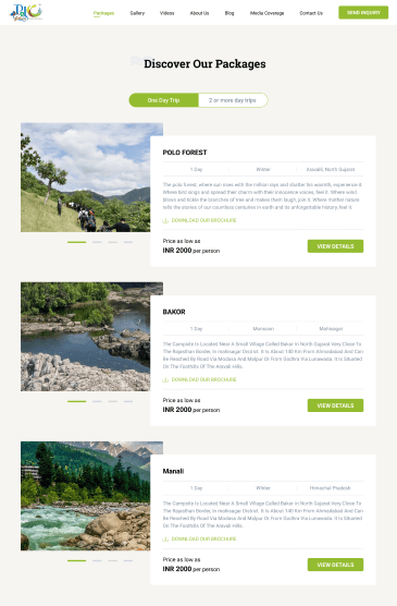 Polo Safari: Website for Travel Agency designs